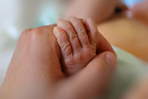 baby hand and adult hand